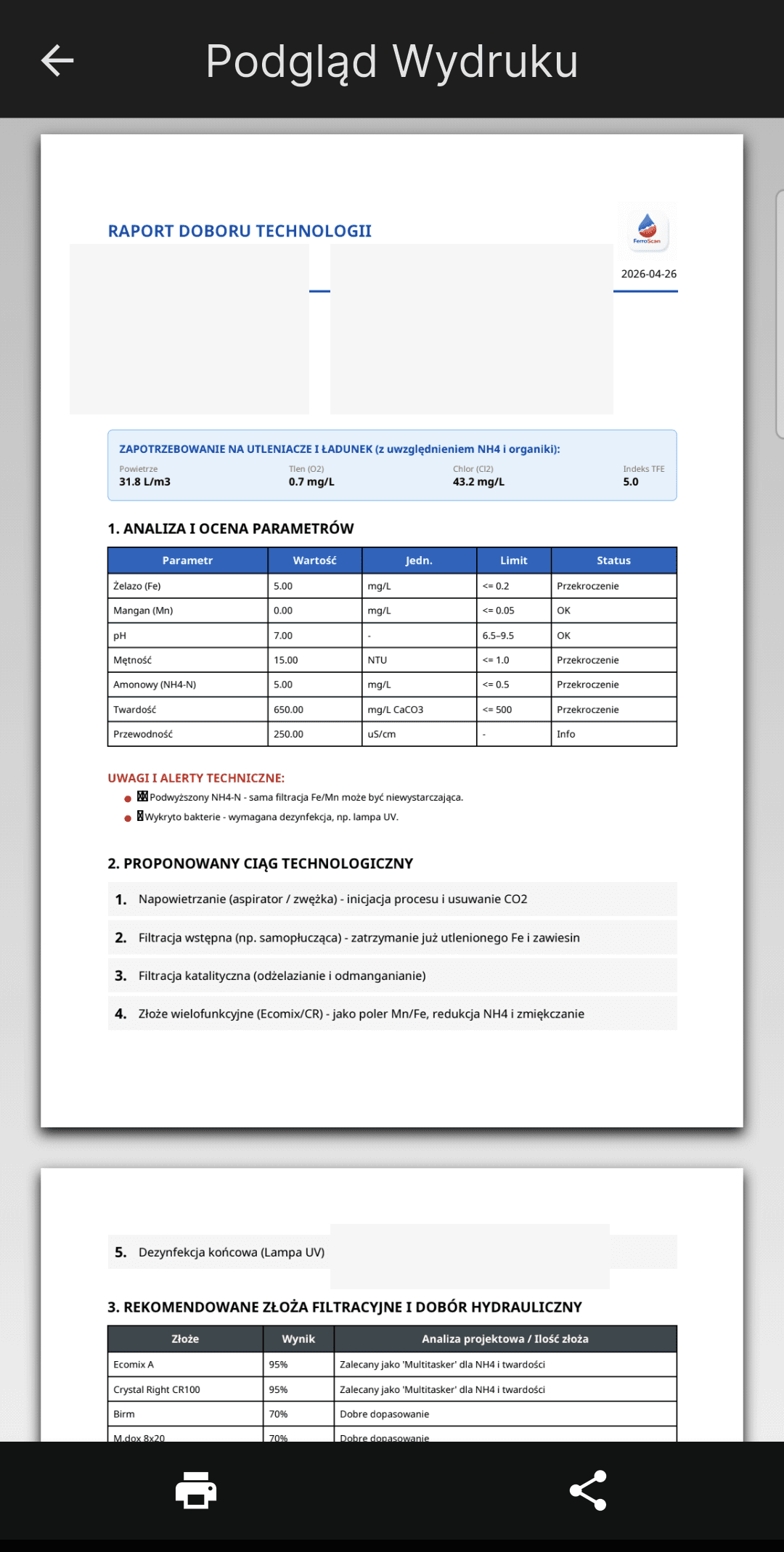 FerroScan - Raport PDF